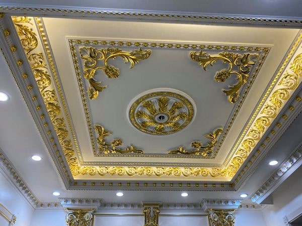 Hoa văn kết hợp cùng các mẫu phào chỉ khác